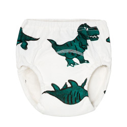 9M-4Y Toddler Cartoon Training Briefs  Baby Clothes In Bulk  