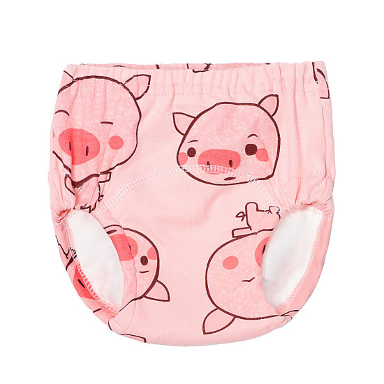 9M-4Y Toddler Cartoon Training Briefs  Baby Clothes In Bulk  