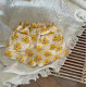 9M-4Y Caroon Flower Animal Print Shorts  Kids Boutique Clothing  