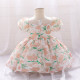 12M-3Y Toddler Girls Floral Puff Sleeve Mesh Princess Dresses  Girls Clothes  