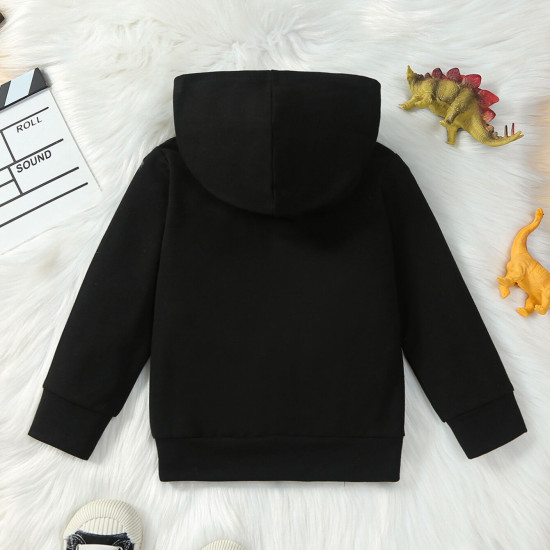 12M-5Y Toddler Boys Dinosaur Hooded Sweatshirt  Boys Clothing  