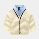 18M-6Y Toddler Boys Fake Two Piece Shirt Collar Pullover Sweater  Boys Clothing  Boys