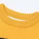 2-7Y Toddler Boys Dog Print Knitted Sweaters Vest  Boys Boutique Clothing  